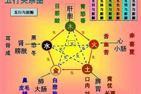 木命的人|五行属木人的特点 木命人干什么容易发财